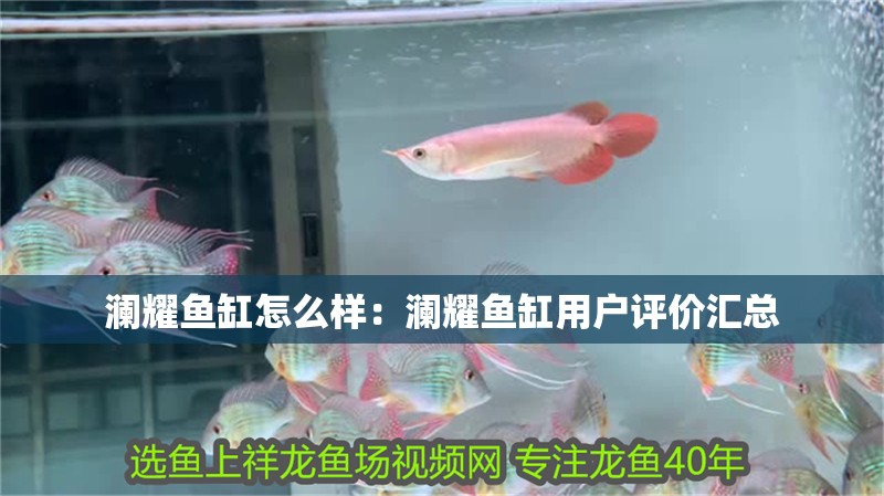 瀾耀魚(yú)缸怎么樣：瀾耀魚(yú)缸用戶評(píng)價(jià)匯總 瀾耀魚(yú)缸怎么樣：瀾耀魚(yú)缸用戶評(píng)價(jià)匯總 魚(yú)缸百科