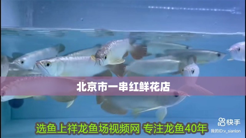 給大魚缸換水的作文:體驗給大魚缸換水的樂趣:體驗給大魚缸換水:給大魚缸換水的作文 北京市一串紅鮮花店 全國水族館企業名錄 北京市一串紅鮮花店 北京市一串紅鮮花店 全國水族館企業名錄
