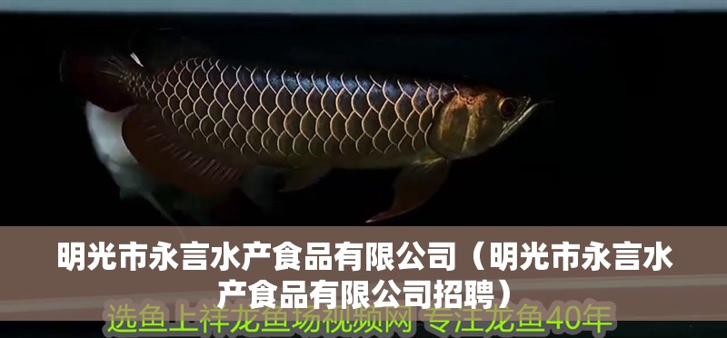 明光市永言水產食品有限公司（明光市永言水產食品有限公司招聘） 明光市永言水產食品有限公司（明光市永言水產食品有限公司招聘） 全國水族館企業名錄