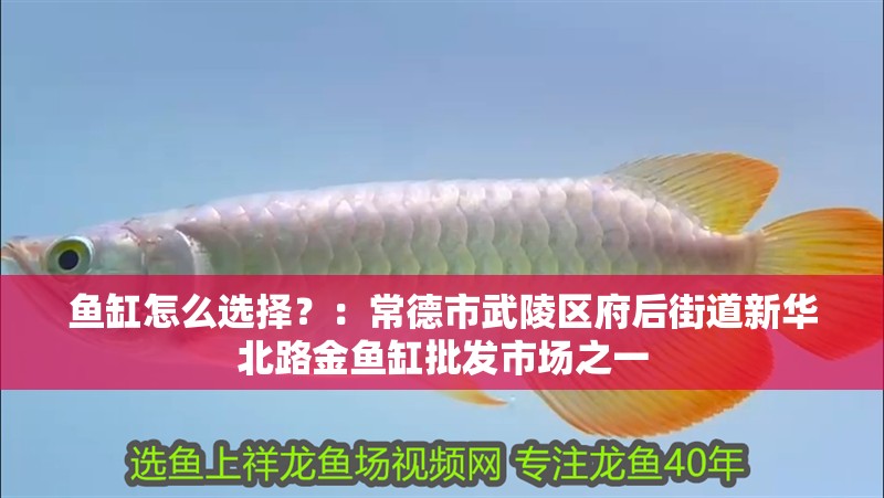 魚缸怎么選擇？：常德市<strong><mark>武陵</mark></strong>區府后街道新華北路金魚缸批發市場之一