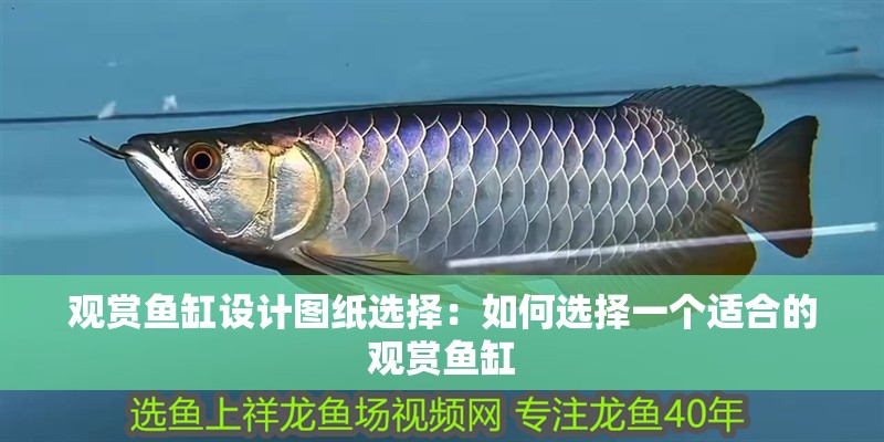 觀賞魚缸設(shè)計(jì)圖紙選擇：如何選擇一個(gè)適合的觀賞魚缸