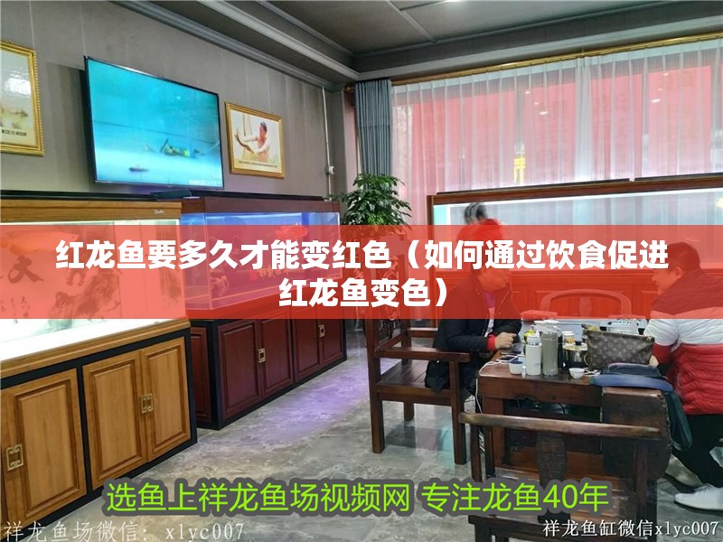 紅龍魚要多久才能變紅色（如何通過飲食促進紅龍魚變色）