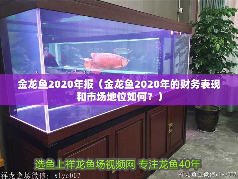 金龍魚2020年報(金龍魚2020年的財務(wù)表現(xiàn)和市場地位如何?)