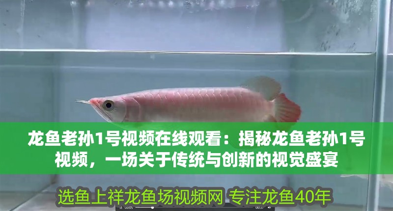 龍魚老孫1號視頻在線觀看：揭秘龍魚老孫1號視頻，一場關于傳統與創新的視覺盛宴