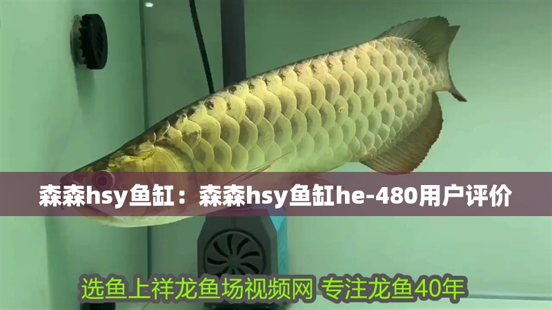 森森h(huán)sy魚缸：森森h(huán)sy魚缸he-480用戶評(píng)價(jià)