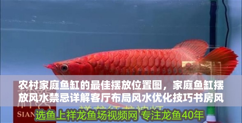 農村家庭魚缸的最佳擺放位置圖,家庭魚缸擺放風水禁忌詳解客廳布局風水優化技巧書房風水布置提升學業魚缸選擇與養護指南