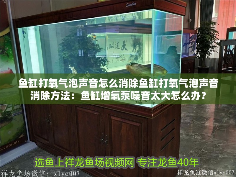 魚缸打氧氣泡聲音怎么消除魚缸打氧氣泡聲音消除方法:魚缸增氧泵噪音太大怎么辦?