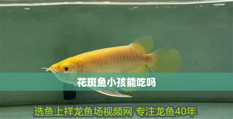 花斑魚小孩能吃嗎