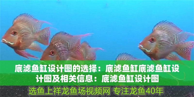 底濾魚缸設(shè)計(jì)圖的選擇：底濾魚缸底濾魚缸設(shè)計(jì)圖及相關(guān)信息：底濾魚缸設(shè)計(jì)圖