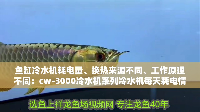 我的虎魚真菌感染了要怎么處理 魚缸冷水機耗電量、換熱來源不同、工作原理不同:cw-3000冷水機系列冷水機每天耗電情況大概這樣子的 魚缸百科 魚缸冷水機耗電量、換熱來源不同、工作原理不同:cw-3000冷水機系列冷水機每天耗電情況大概這樣子的 魚缸冷水機耗電量、換熱來源不同、工作原理不同:cw-3000冷水機系列冷水機每天耗電情況大概這樣子的 魚缸百科