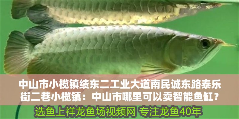 中山市小欖鎮績東二工業大道南民誠東路泰樂街二巷小欖鎮：中山市哪里可以賣智能魚缸？ 中山市小欖鎮績東二工業大道南民誠東路泰樂街二巷小欖鎮：中山市哪里可以賣智能魚缸？ 魚缸百科