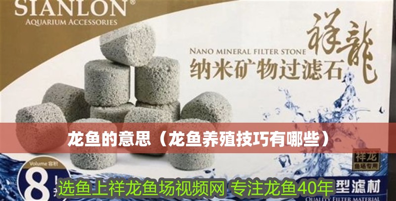 龍魚的意思（龍魚養(yǎng)殖技巧有哪些）