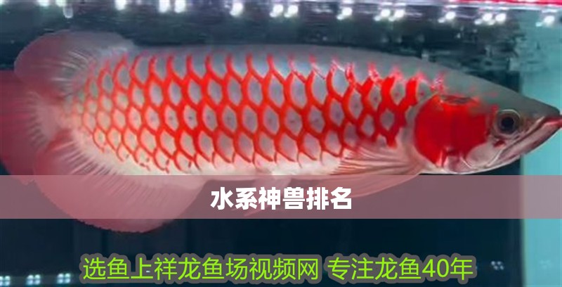 水系神獸排名 水系神獸排名 龍魚論壇