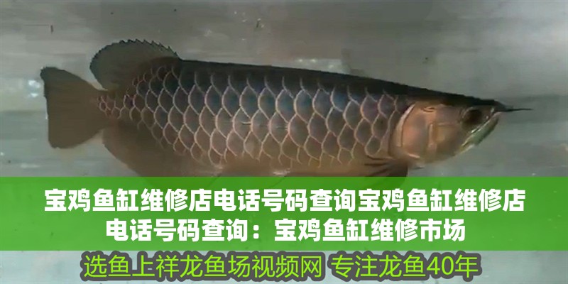 寶雞魚缸維修店電話號碼查詢寶雞魚缸維修店電話號碼查詢：寶雞魚缸維修市場