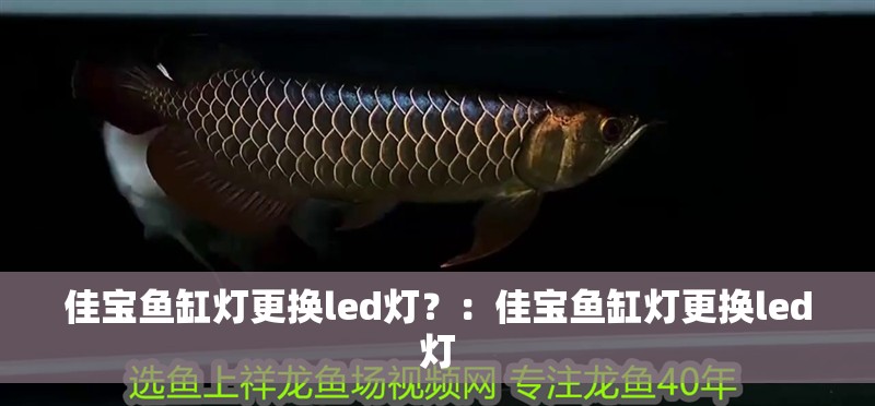 佳寶魚缸燈更換led燈？：佳寶魚缸燈更換led燈