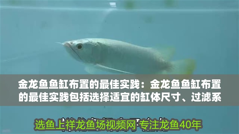 金龍魚魚缸布置的最佳實(shí)踐：金龍魚魚缸布置的最佳實(shí)踐包括選擇適宜的缸體尺寸、過濾系統(tǒng)配置