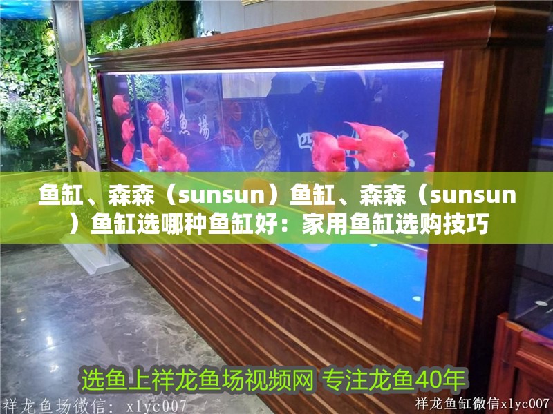 魚缸、森森（sunsun）魚缸、森森（sunsun）魚缸選哪種魚缸好：家用魚缸選購技巧