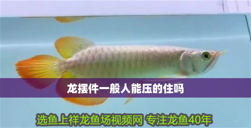 龍擺件一般人能壓的住嗎