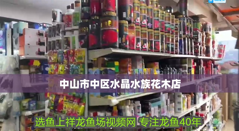 中山市中區水晶水族花木店