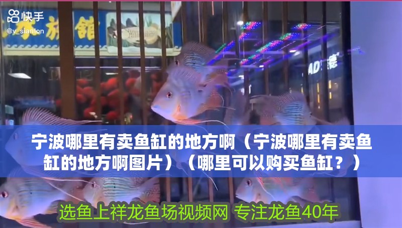寧波哪里有賣魚缸的地方啊（寧波哪里有賣魚缸的地方啊圖片）（哪里可以購買魚缸？）