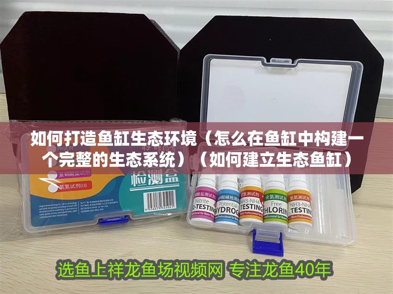 如何打造魚缸生態環境（怎么在魚缸中構建一個完整的生態系統）（如何建立生態魚缸）