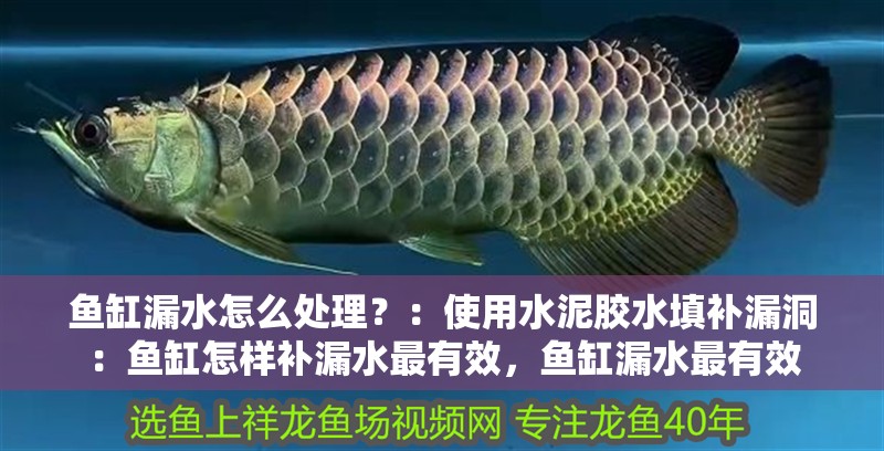 魚缸漏水怎么處理？：使用水泥膠水填補(bǔ)漏洞：魚缸怎樣補(bǔ)漏水最有效，魚缸漏水最有效