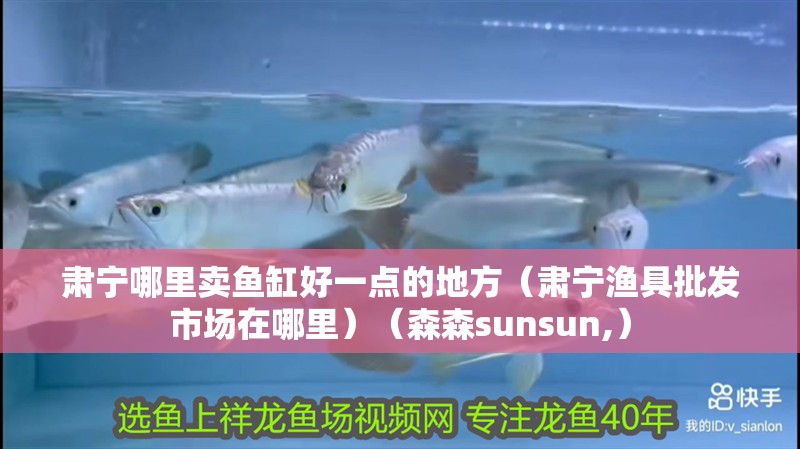 肅寧哪里賣魚缸好一點的地方（肅寧漁具批發市場在哪里）（森森sunsun,）