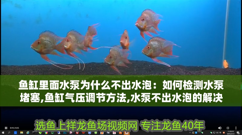 魚缸用增氧泵價格是多少:魚缸增氧機-xtrac增氧機-xtrac增氧機 魚缸里面水泵為什么不出水泡:如何檢測水泵堵塞,魚缸氣壓調節方法,水泵不出水泡的解決步驟 魚缸百科 魚缸里面水泵為什么不出水泡:如何檢測水泵堵塞,魚缸氣壓調節方法,水泵不出水泡的解決步驟 魚缸里面水泵為什么不出水泡:如何檢測水泵堵塞,魚缸氣壓調節方法,水泵不出水泡的解決步驟 魚缸百科