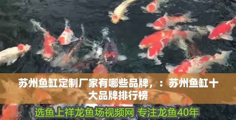 蘇州魚缸定制廠家有哪些品牌，：蘇州魚缸十大品牌排行榜