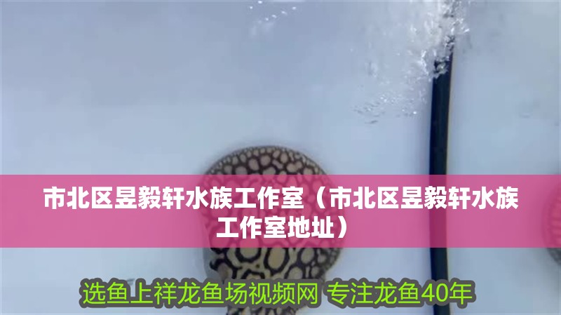市北區昱毅軒水族工作室（市北區昱毅軒水族工作室地址）