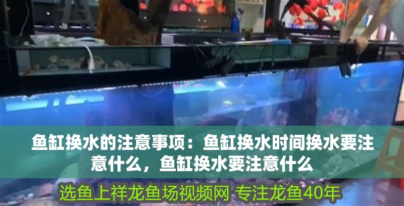 魚缸換水的注意事項：魚缸換水時間換水要注意什么，魚缸換水要注意什么
