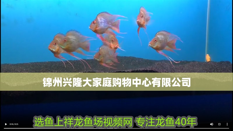 錦州興隆大家庭購物中心有限公司