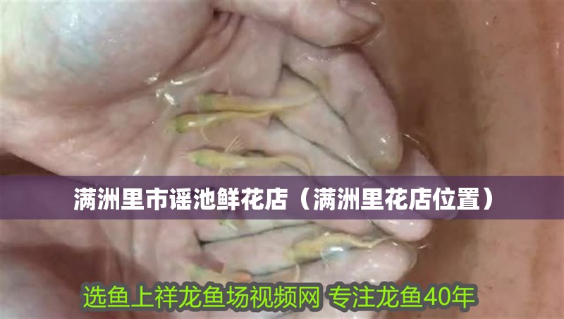 滿洲里市謠池鮮花店（滿洲里花店位置）