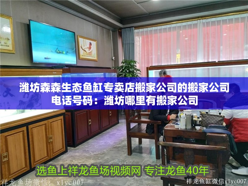 濰坊森森生態魚缸專賣店搬家公司的搬家公司電話號碼：濰坊哪里有搬家公司