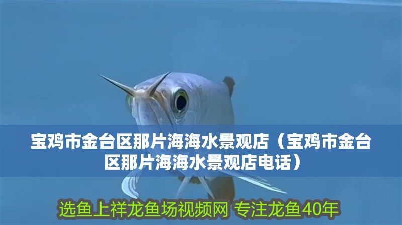寶雞市金臺區那片海海水景觀店（寶雞市金臺區那片海海水景觀店電話） 寶雞市金臺區那片海海水景觀店（寶雞市金臺區那片海海水景觀店電話） 全國水族館企業名錄