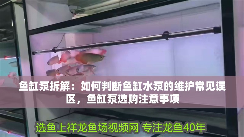 魚缸泵拆解：如何判斷魚缸水泵的維護(hù)常見誤區(qū)，魚缸泵選購注意事項(xiàng)