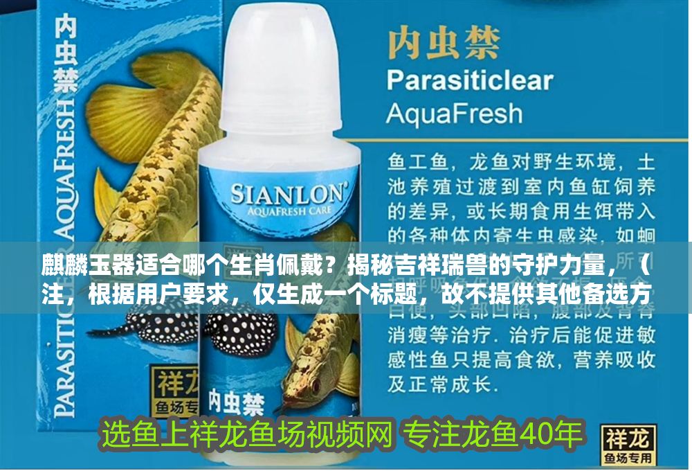 麒麟玉器適合哪個生肖佩戴？揭秘吉祥瑞獸的守護力量，（注，根據用戶要求，僅生成一個標題，故不提供其他備選方案）