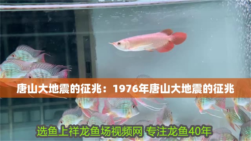 龍魚干蝦有營養嗎 唐山大地震的征兆:1976年唐山大地震的征兆 魚缸百科 唐山大地震的征兆:1976年唐山大地震的征兆 唐山大地震的征兆:1976年唐山大地震的征兆 魚缸百科