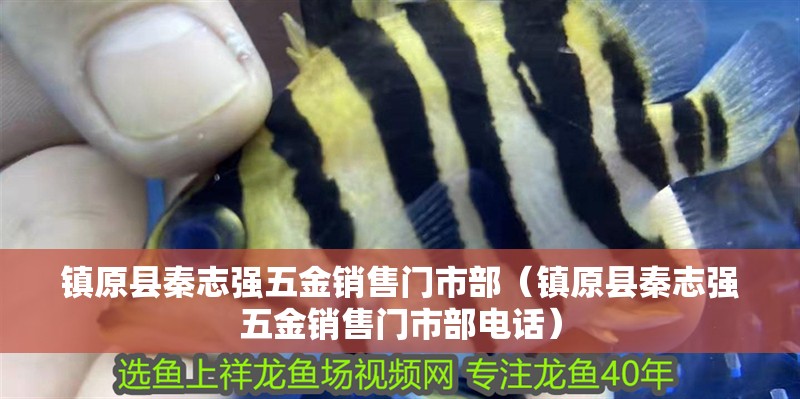 鎮原縣秦志強五金銷售門市部（鎮原縣秦志強五金銷售門市部電話）