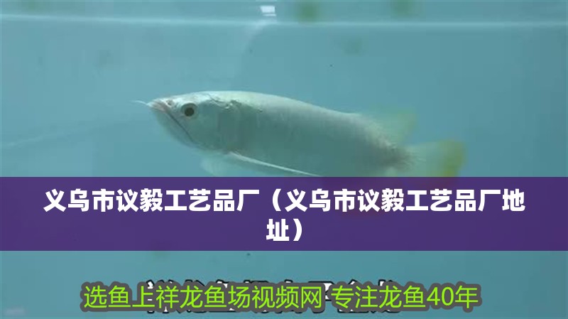 義烏市議毅工藝品廠（義烏市議毅工藝品廠地址）