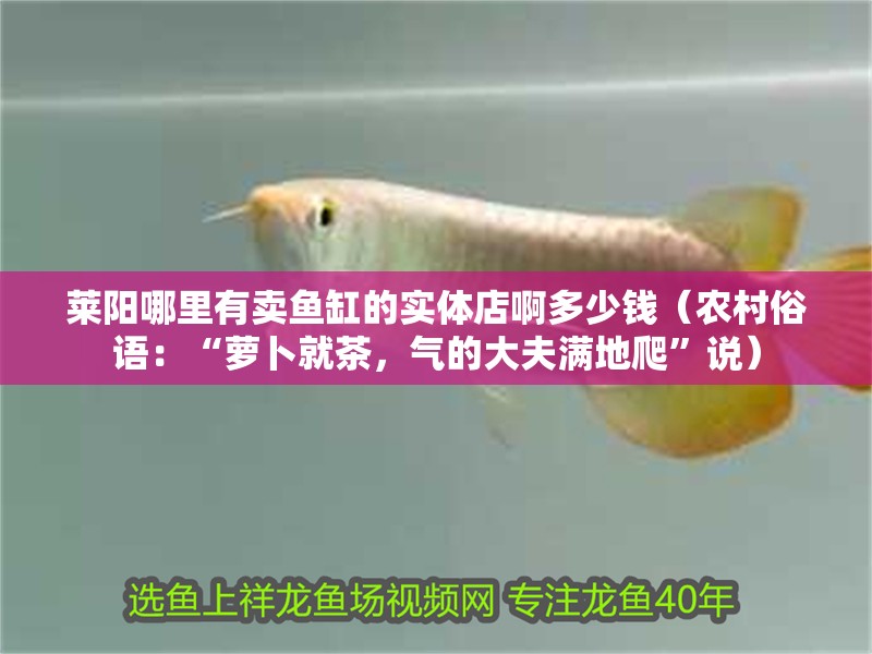 萊陽哪里有賣魚缸的實體店啊多少錢（農(nóng)村俗語：“蘿卜就茶，氣的大夫滿地爬”說）