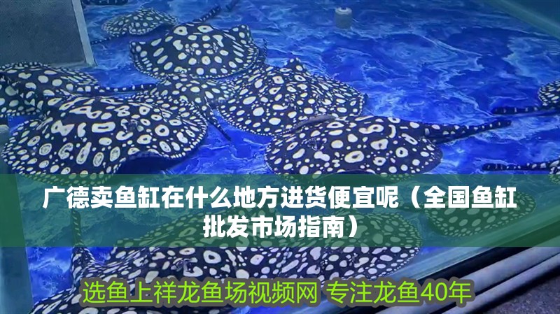 廣德賣魚缸在什么地方進貨便宜呢（全國魚缸批發市場指南）