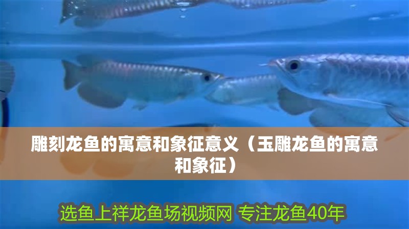 雕刻龍魚的寓意和象征意義（玉雕龍魚的寓意和象征）
