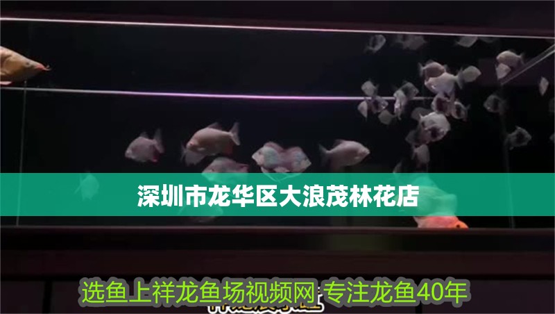 深圳市龍華區大浪茂林花店
