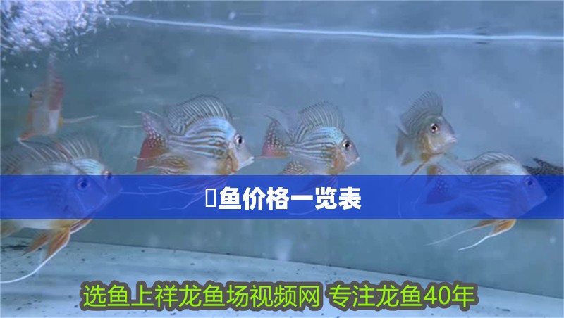 魟魚價格一覽表