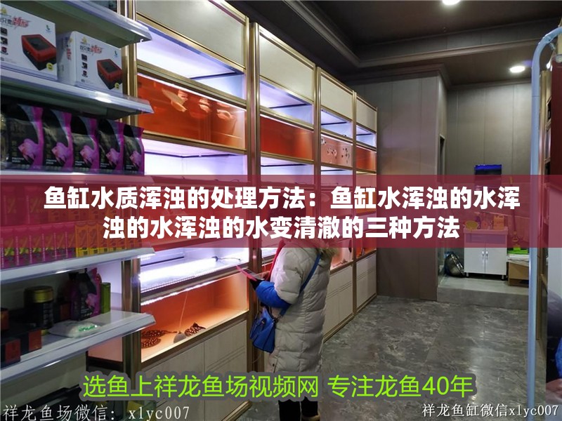 魚缸水質渾濁的處理方法：魚缸水渾濁的水渾濁的水渾濁的水變清澈的三種方法 魚缸水質渾濁的處理方法：魚缸水渾濁的水渾濁的水渾濁的水變清澈的三種方法 魚缸百科