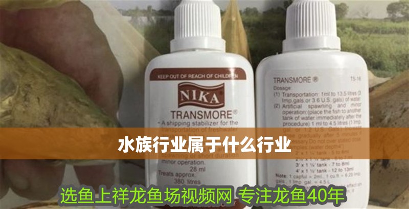 水族行業屬于什么行業 水族行業屬于什么行業 龍魚論壇