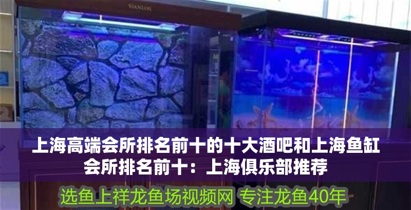 上海高端會所排名前十的十大酒吧和上海魚缸會所排名前十：上海俱樂部推薦