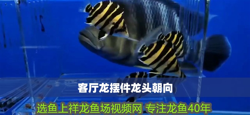 客廳龍擺件龍頭朝向