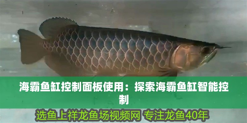 海霸魚缸控制面板使用：探索海霸魚缸智能控制